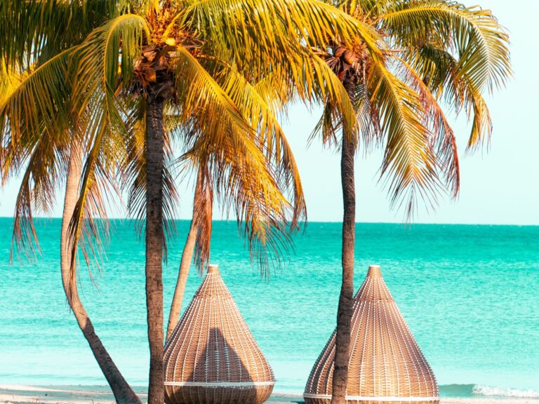 Coqueiros e mar azul em Varadero
