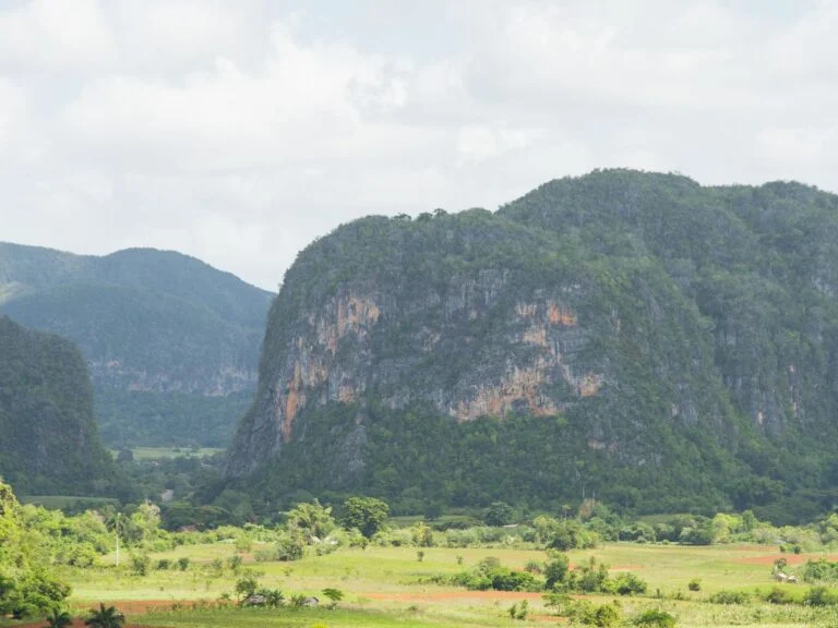 O vale de Viñales, com os mogotes e o tabaco