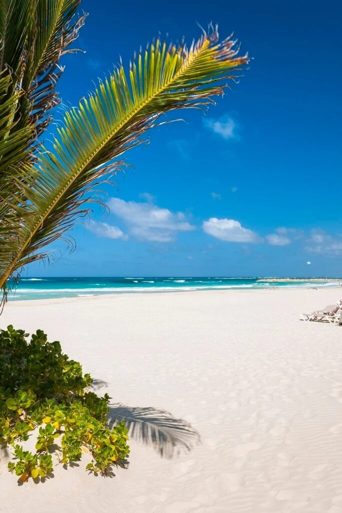 HARD ROCK HOTEL e CASINO PUNTA CANA