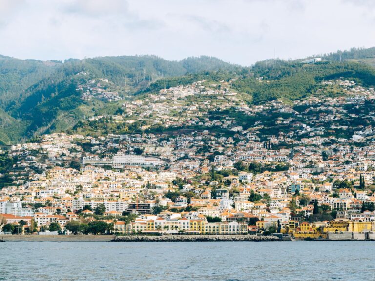 O Funchal visto de cima, entre a serra e a baía