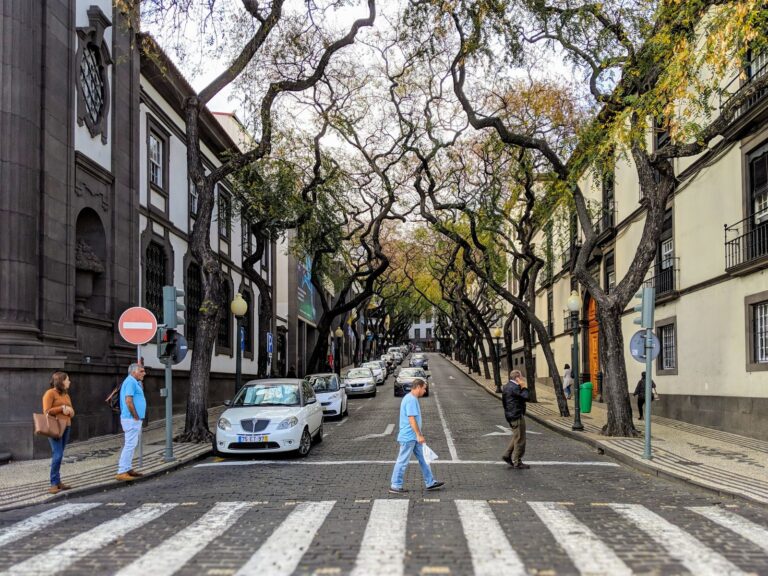 Rua do Funchal, com as jacarandás floridas