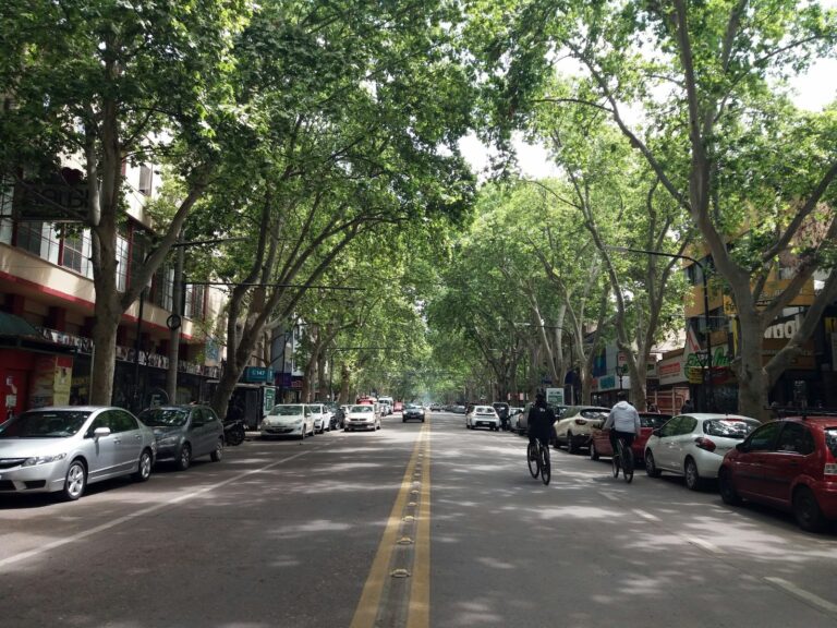 Rua arborizada no centro de Mendoza