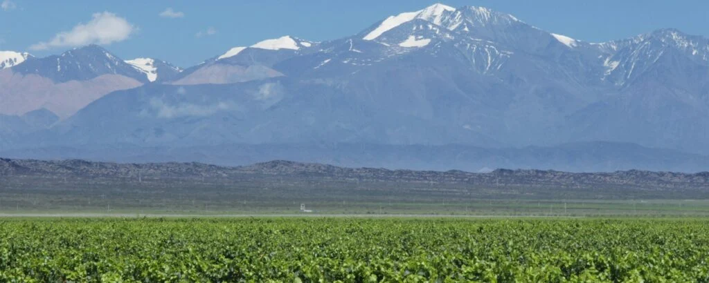 Mendoza