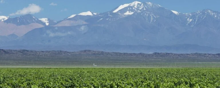 Mendoza
