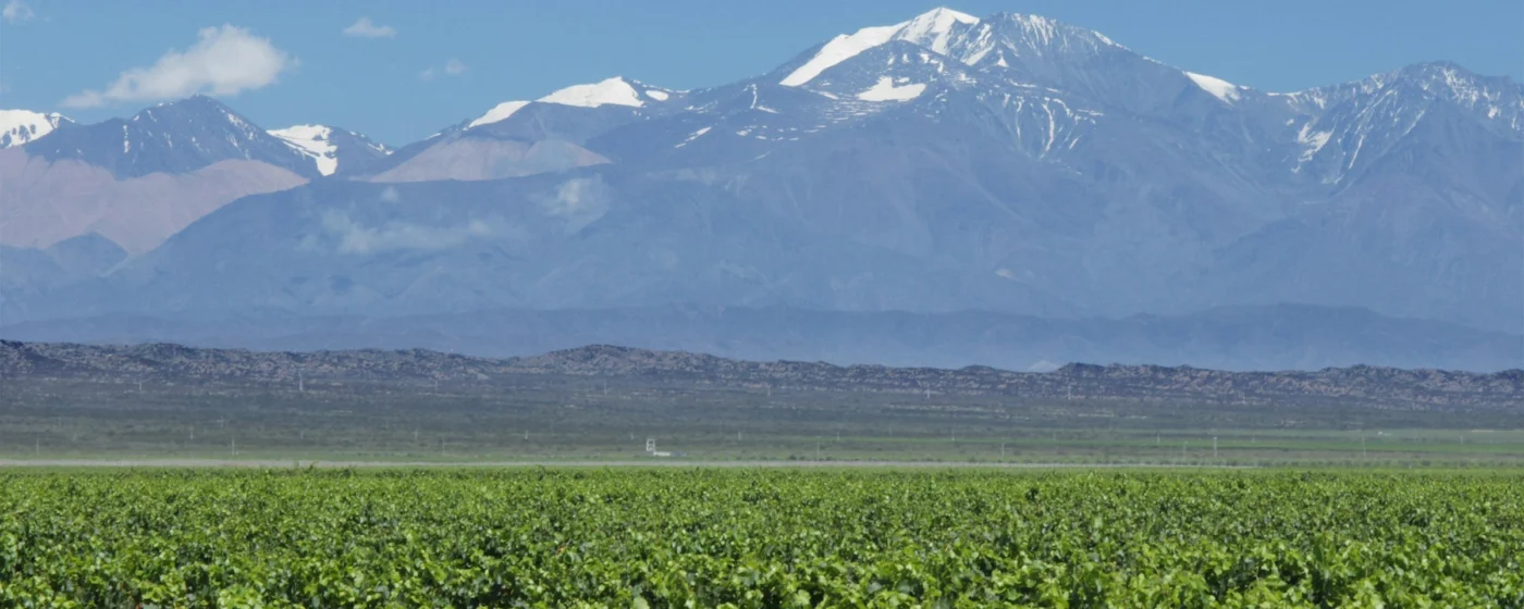 Mendoza