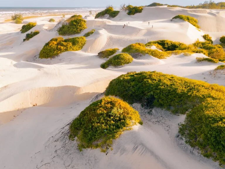 Dunas do litoral norte