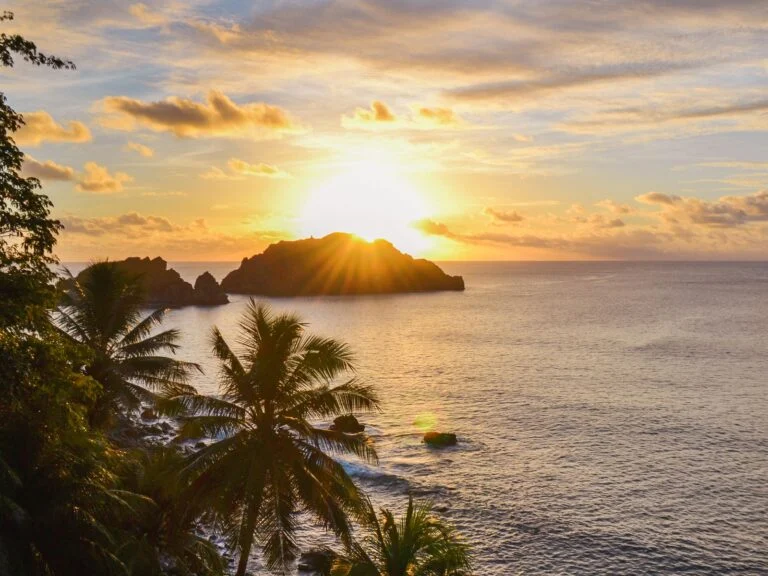 Pôr do sol entre os coqueiros