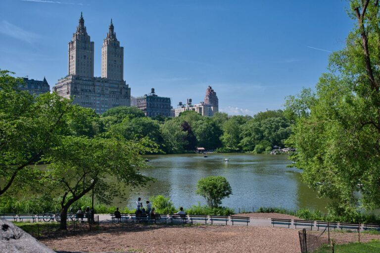 O Central Park e os prédios de Manhattan